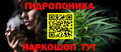 спиды Моздок