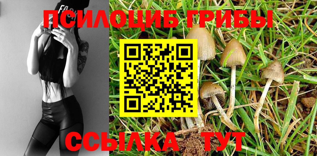 Псилоцибиновые грибы мухоморы  Вход с VPN  Городец 
